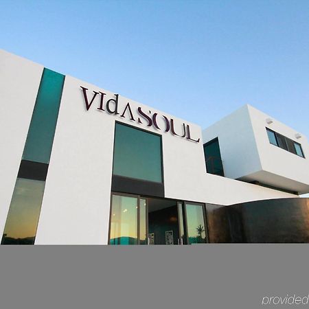 Vidasoul Boca de la Vinorama エクステリア 写真